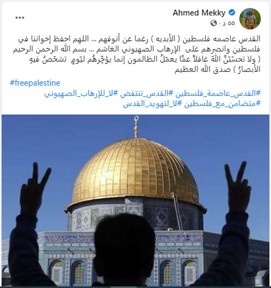 القدس تنتفض: النجوم يدعمون فلسطين: انقذوا حي الشيخ جراح!  صورة رقم 7