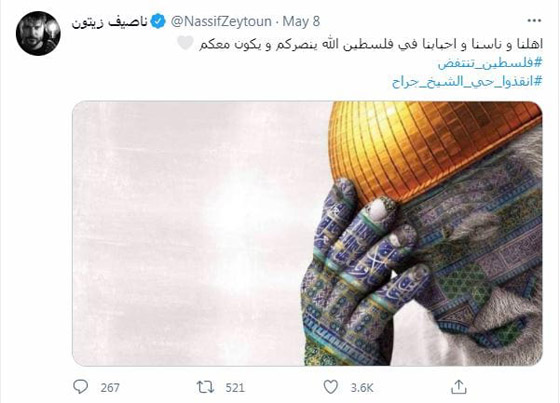 القدس تنتفض: النجوم يدعمون فلسطين: انقذوا حي الشيخ جراح!  صورة رقم 10