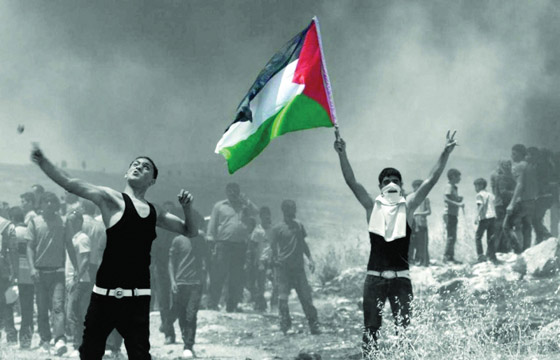 كاتب اسرائيلي يدعو الصهاينة للعودة الى بلادهم الاصلية صورة رقم 6