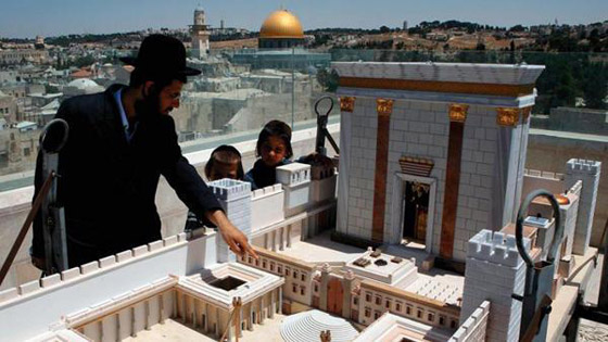 كاتب اسرائيلي يدعو الصهاينة للعودة الى بلادهم الاصلية صورة رقم 5