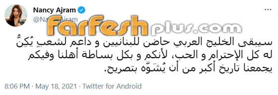 رغم استقالته، نجوم لبنان ينتقدون تصريحات الوزير شربل وهبة المسيئة للدول العربية وهيفاء وهبي تدافع عنه! صورة رقم 1