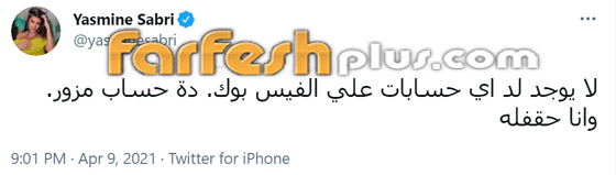 حسابات وهمية واختراق هواتف.. مشاهير مصريون في أزمات مع السوشيل ميديا صورة رقم 4