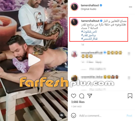 فنان شهير يخضع لمساج الثعابين والنار! شاهد الخوف يتملكه والثعبان الضخم على ظهره! فيديو صورة رقم 1
