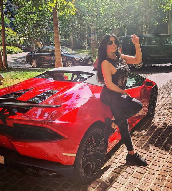 هيفا وهبي تستعرض سيارتها الفارهة بجلسة تصوير عفوية صورة رقم 5