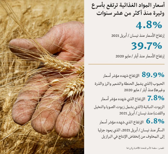 الأمم المتحدة تحذر من ارتفاع تكلفة الغذاء عالميا بوتيرة هي الأسرع منذ 10 أعوام صورة رقم 1