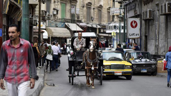 بينها مدينتان عربيتان.. 6 مدن عالمية معرضة لمخاطر الغرق والفيضانات الدائمة صورة رقم 6