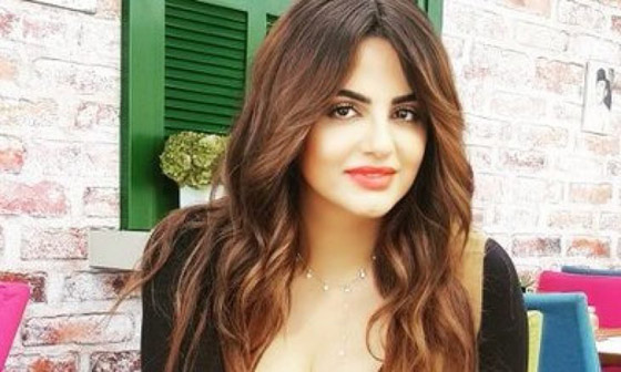 باسكال مشعلاني تكشف: سبب واحد يجعلني أعتزل الغناء صورة رقم 4