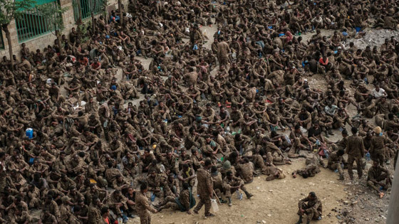 تيغراي تتحدى فائزاً بنوبل.. مشاهد لا تصدق لجيش من الأسرى صورة رقم 1