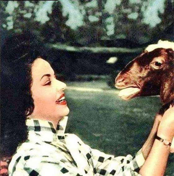 صور وحكايات نجوم الزمن الجميل مع خروف العيد: جلابية شكوكو ووليمة أم كلثوم صورة رقم 4