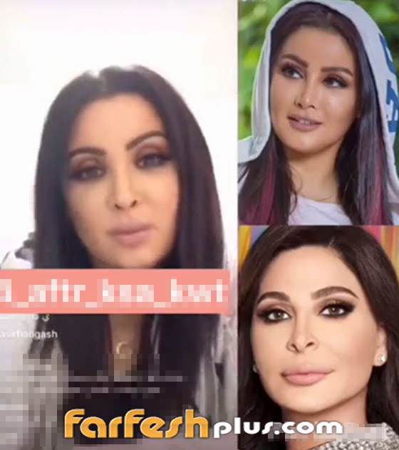 فيديو وصور شبيهة 