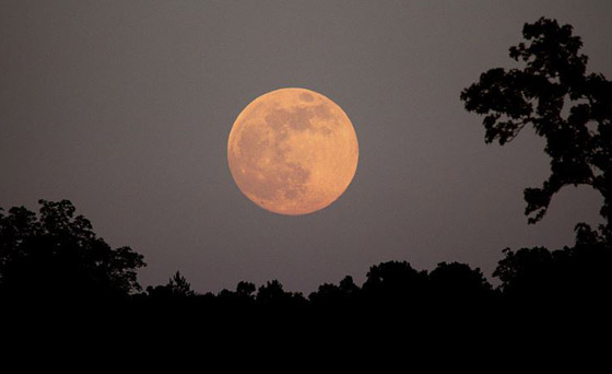 الاعتدال الخريفي.. قصة مثيرة عن 