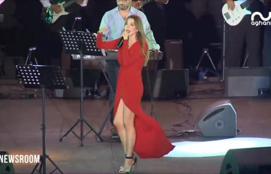 بالفيديو: نانسي عجرم تتعرض لموقف محرج على المسرح بسبب فستانها صورة رقم 5