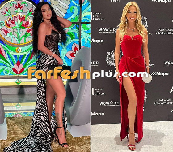 صور ملكة جمال روسيا مع هيفاء وهبي في دبي.. أيهما أجمل؟ صورة رقم 3