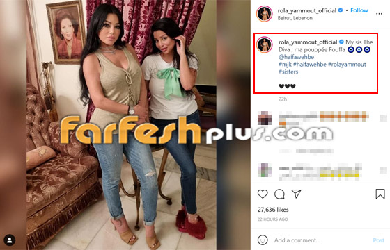 صور هيفاء وهبي مع أختها رولا يموت.. هل تصالحتا؟ صورة رقم 1