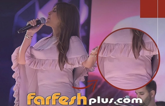 فيديو وصور إليسا: هل ارتدت درعا واقيا للرصاص ببغداد؟ أم مشد لإخفاء زيادة وزنها؟ صورة رقم 5