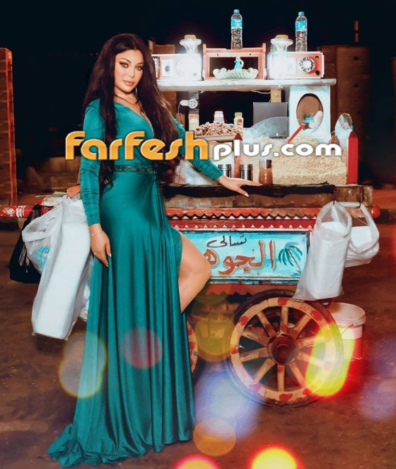 فيديو هيفاء وهبي تكشف سر صورتها مع عربية الترمس.. وماذا قال البائع؟ صورة رقم 1