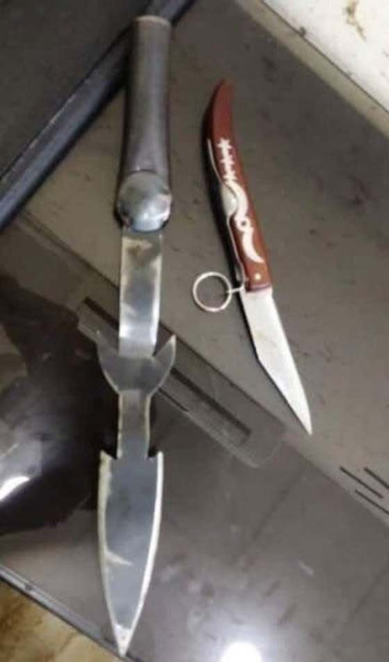 فيديو: والدة قاتل تحاول تهريبه بعد قتله شقيقين طعنا وجرح والدهما بالأردن صورة رقم 2