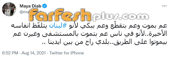 فيديو وصور نجوم لبنان يعلقون على الأوضاع الصعبة: الله لا يوفقكم لا دنيا ولا آخره! صورة رقم 4