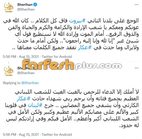 نجوم الفن يواسون لبنان: شريهان، جورج وسوف، أحلام، قصي خولي و.. صورة رقم 2