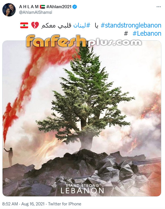 نجوم الفن يواسون لبنان: شريهان، جورج وسوف، أحلام، قصي خولي و.. صورة رقم 4