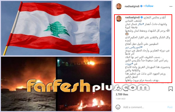 نجوم الفن يواسون لبنان: شريهان، جورج وسوف، أحلام، قصي خولي و.. صورة رقم 5