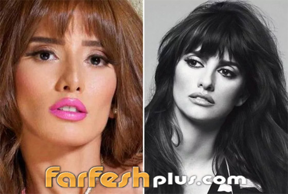 صور شبيهة زينة (الإسبانية).. هل ستفرق بينهما؟ وبرأيكم من الأجمل؟ صورة رقم 1