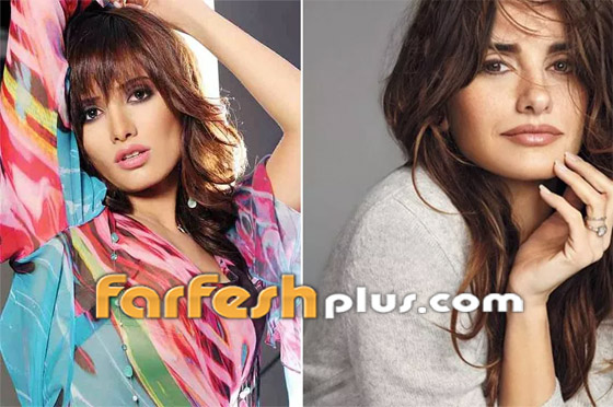 صور شبيهة زينة (الإسبانية).. هل ستفرق بينهما؟ وبرأيكم من الأجمل؟ صورة رقم 3