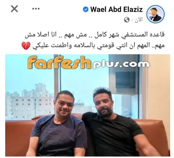 شقيق ياسمين عبد العزيز: 