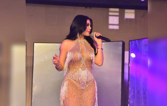 فيديو: هيفاء وهبي في وصلة رقص على المسرح وتتعرض لموقف محرج! صورة رقم 2