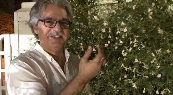 هجوم قوي على الفنان السوري عباس النوري.. زوجته تطلب النجدة وأيمن زيدان يتضامن معه صورة رقم 3
