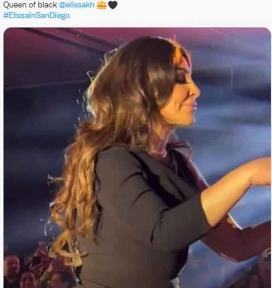 إليسا ترد على منتقدي حفلها في أمريكا: (موتوا بغيظكم!) صورة رقم 12
