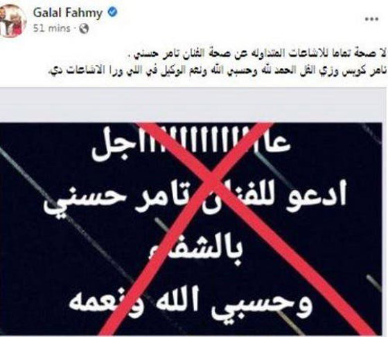 دخول تامر حسني في غيبوبة و المقربون ينفون صورة رقم 2