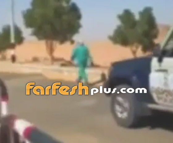 فيديو: تامر حسني يدعم الرحالة المصرية ريهام أبو بكر لدخول موسوعة 