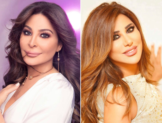 ما هي قصة التغريدة التي تسببت في أزمة بين نجوى كرم و إليسا؟ صورة رقم 9