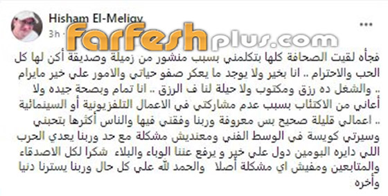 أزمة هشام المليجي مع رانيا شاهين: هل فضحته أم أرادت مساعدته؟ صورة رقم 3