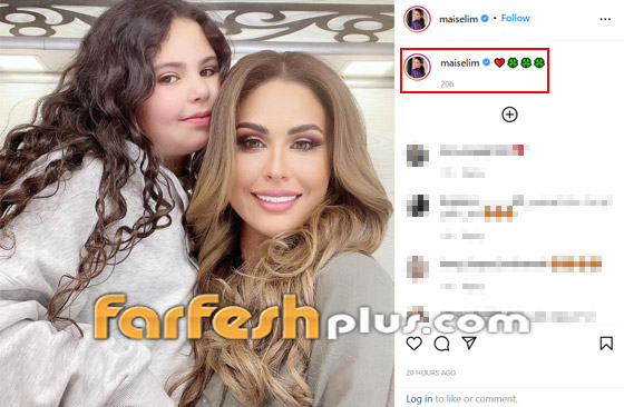 مي سليم وابنتها تخطفان الأنظار في أحدث ظهور لهما.. صور صورة رقم 1
