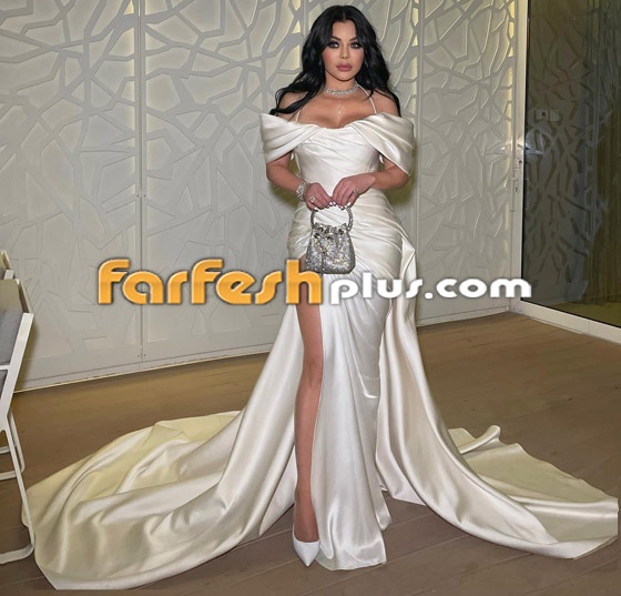 هيفاء وهبي تتوج بجائزة 