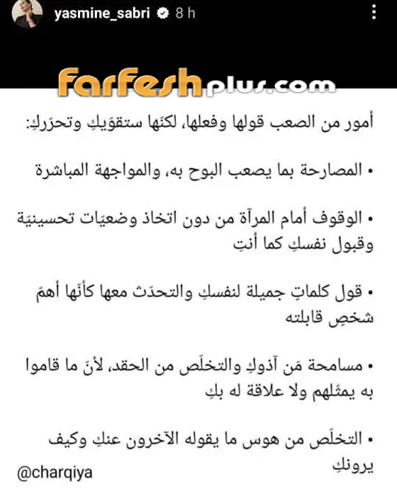 هل تم طلاق ياسمين صبري من أحمد أبو هشيمة بعد شجار عنيف بينهما؟ صورة رقم 1