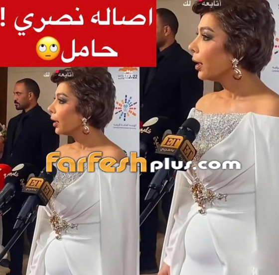 هل أصالة نصري حامل بعمر الـ52 من زوجها العراقي فائق حسن؟ فيديو وصور صورة رقم 2