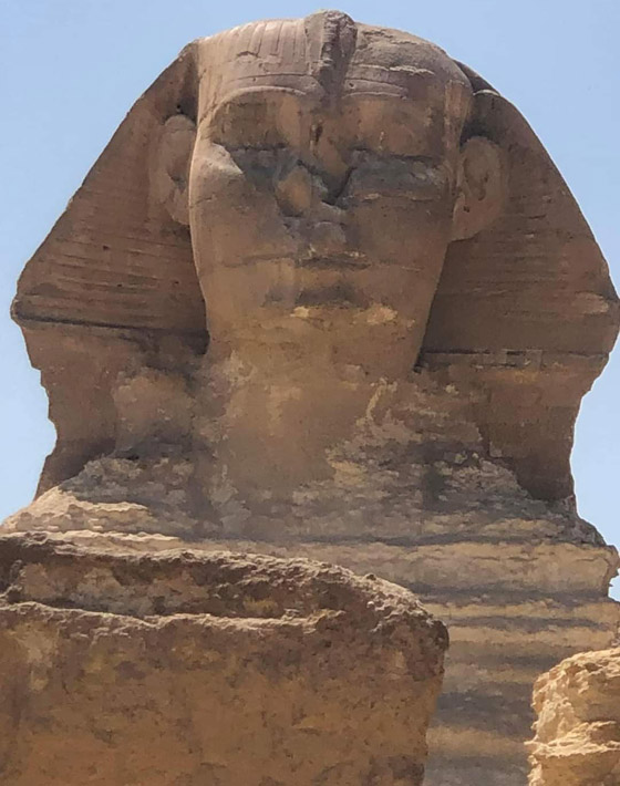 كيف علق الفنانون على صور أبو الهول وهو نائم؟ اصحى انت جاي تنام دلوقتي؟ صورة رقم 9