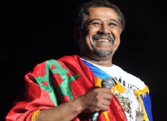 كيف تعرض الشاب خالد للنصب والاحتيال في مصر؟ اليكم التفاصيل!  صورة رقم 5