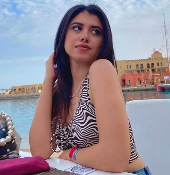 هجوم النجوم على مبروك عطية بسبب فتاة المنصورة، بينهم أنغام، أصالة وهنا الزاهد صورة رقم 19