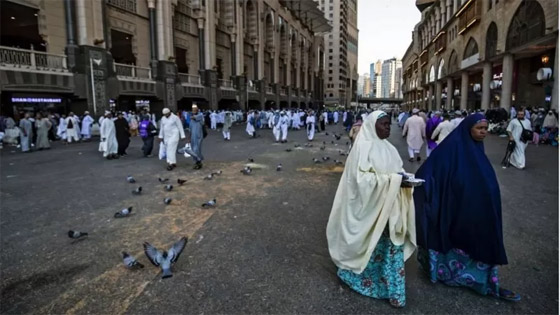بالصور: انطلاق أكبر موسم للحج منذ تفشي فيروس كورونا صورة رقم 2