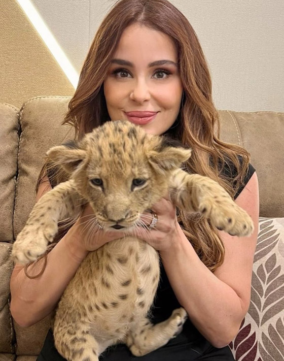 فيديو وصور : كارول سماحة تلاعب الاسد زاعمة انه هدية عيد ميلادها ثم تتراجع!  صورة رقم 1