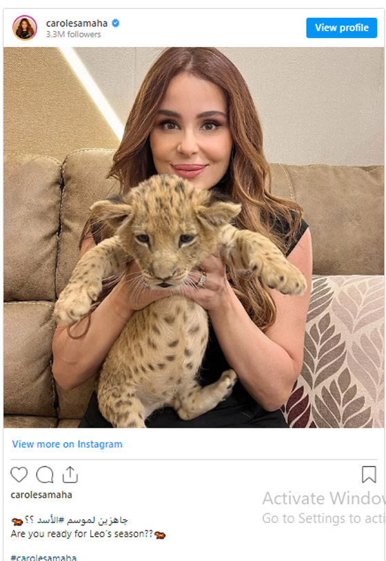 فيديو وصور : كارول سماحة تلاعب الاسد زاعمة انه هدية عيد ميلادها ثم تتراجع!  صورة رقم 3