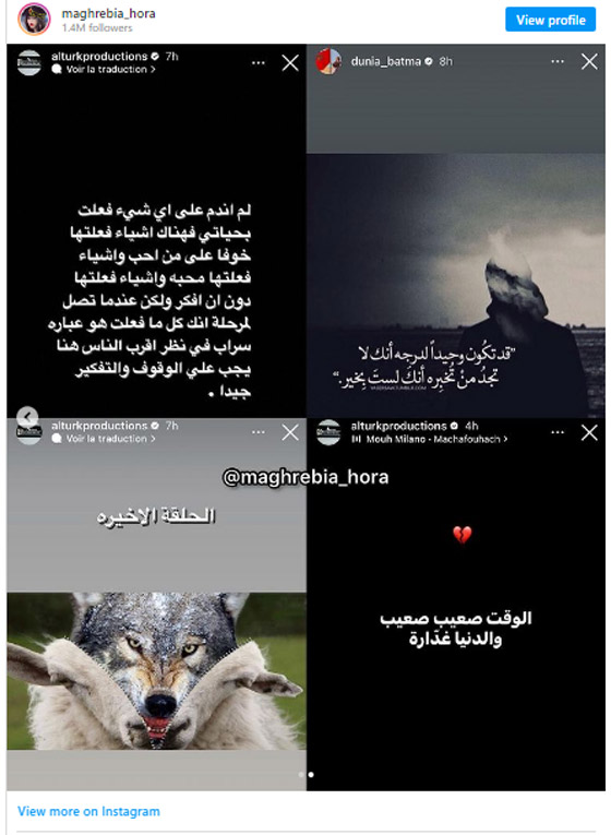 صور: هل انفصلت دنيا بطمة عن محمد الترك؟ اليكم التفاصيل! صورة رقم 2