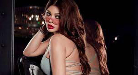 فيديو هيفاء وهبي بإطلالة مثيرة مع حمو بيكا.. ماذا قال عمر كمال؟  صورة رقم 12