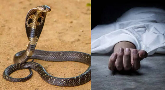 أفعى تقضي على شقيقين مرة واحدة.. الأول أنقذه أخوه ثم لدغه الثعبان! صورة رقم 1