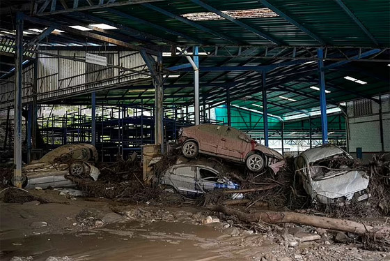 فيديو وصور: مقتل 25 وفقدان 52 وتشرد العشرات في فيضانات فنزويلا صورة رقم 10