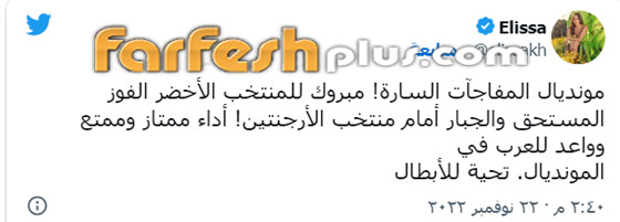 نجوم الفن يحتفلون بفوز السعودية على الأرجنتين بكأس العالم.. شرفتونا وأسعدتونا يا صقور! صورة رقم 7